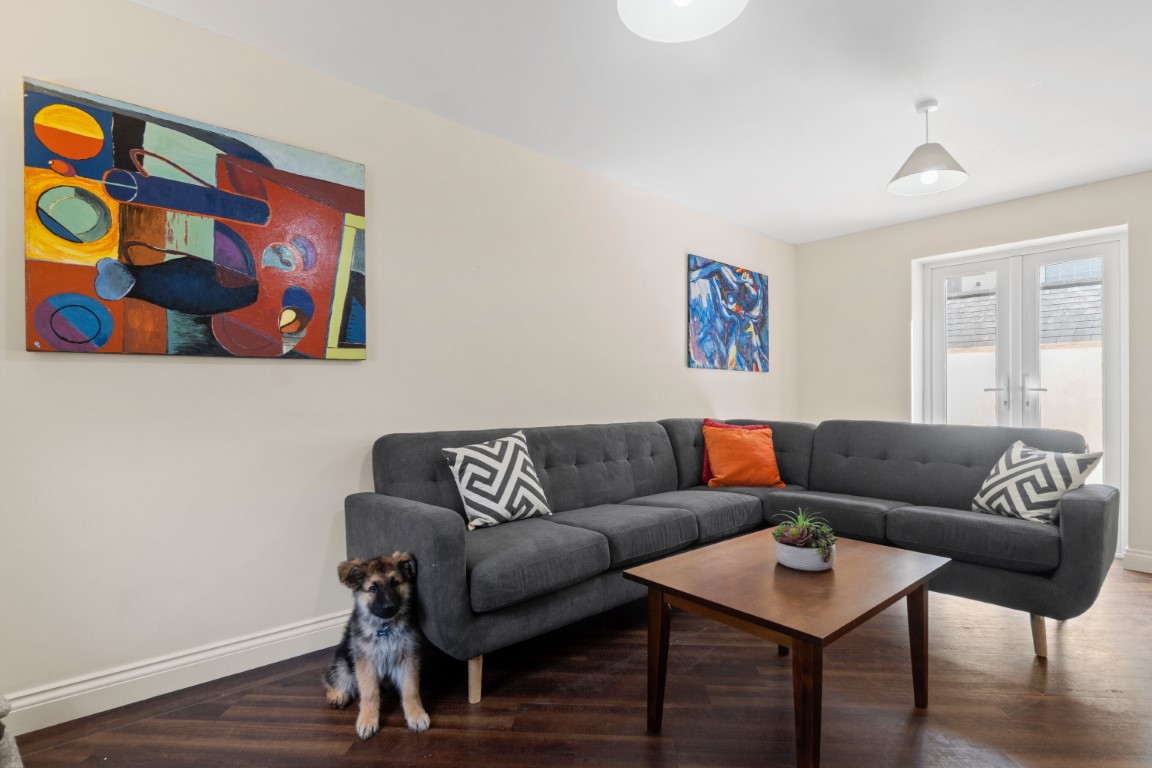 Lounge (dog does not come with property!) in 6 bedroom student house just off North Hill, Plymouth